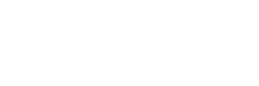 Rapid Digitals